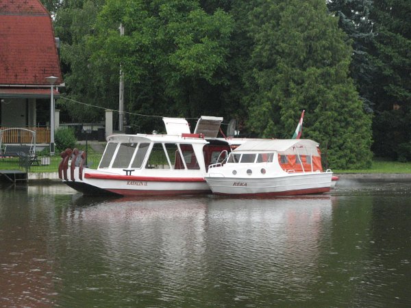 Szarvas 034